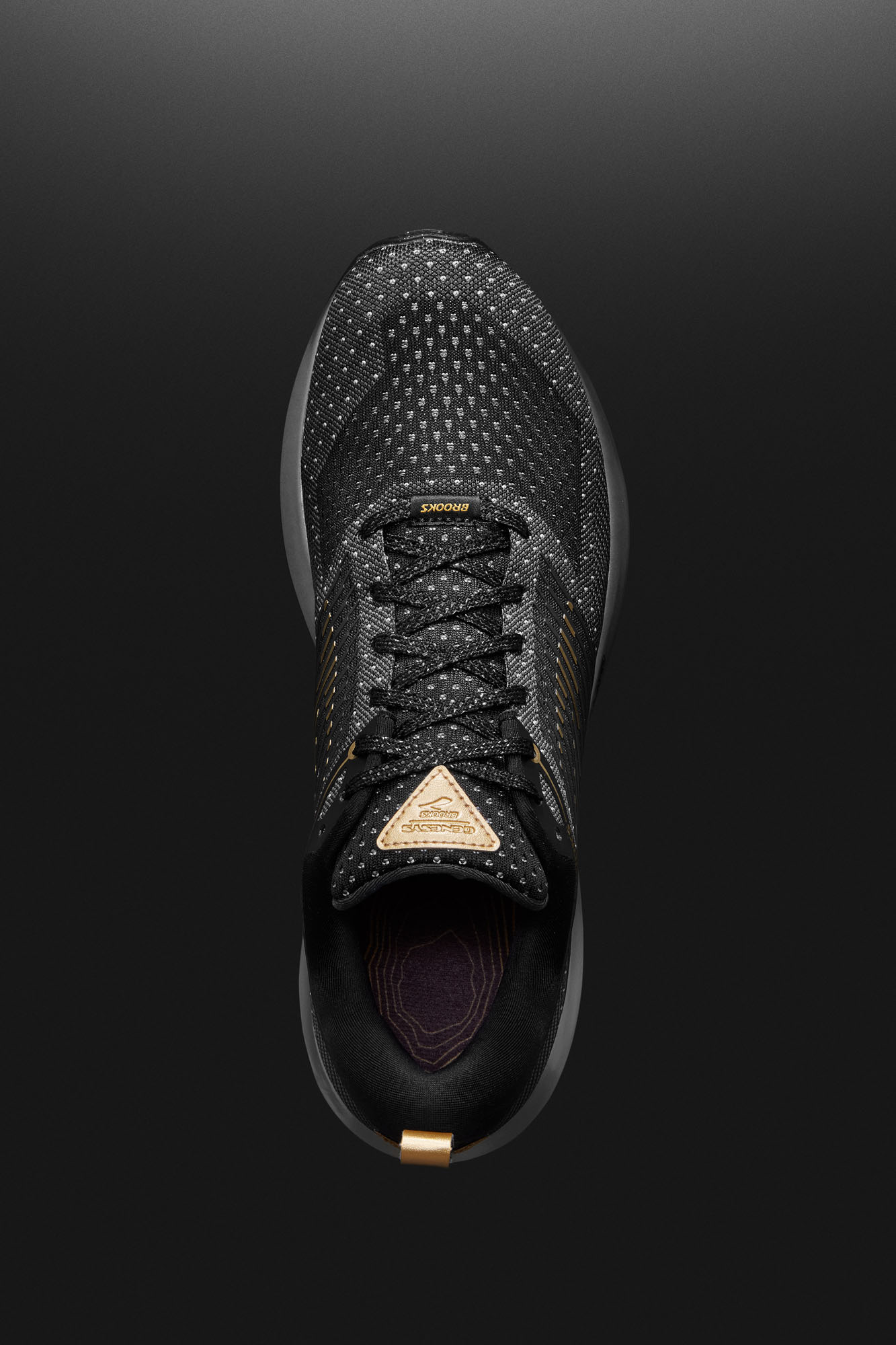 Brooks_Genesys4867